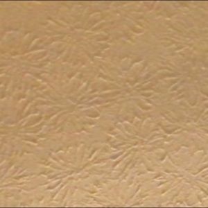 Meet your Posher, Keegan